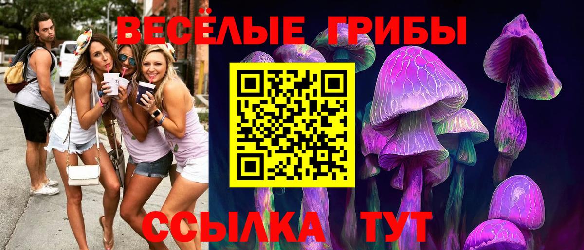 Псилоцибиновые грибы Magic Shrooms  Вход с VPN  Советский  Галлюциногенные грибы Psilocybine cubensis 